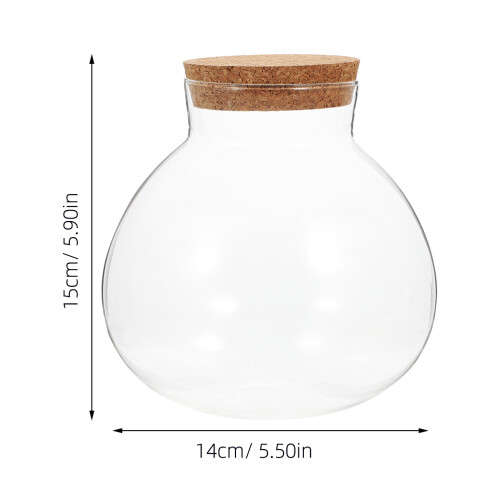 3Pcs Sealed Clear Glass Terrarium With Spherical Jar 1