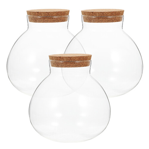3Pcs Sealed Clear Glass Terrarium With Spherical Jar 2