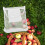 Orchard Picking Bag And Gardeners 1set 4