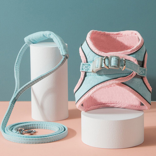 portable cat harness and leash kit for walking kittens 2