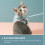 portable cat harness and leash kit for walking kittens 9