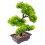 Piante Artificiali Pino Bonsai In Vaso E Ufficio 10
