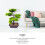 Piante Artificiali Pino Bonsai In Vaso E Ufficio 7
