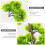 Piante Artificiali Pino Bonsai In Vaso E Ufficio 3