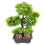 Piante Artificiali Pino Bonsai In Vaso E Ufficio 9