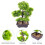 Piante Artificiali Pino Bonsai In Vaso E Ufficio 6