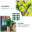 50 Cane Topper Bamboe Plastic Beschermers 11