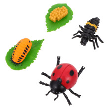 4er-Pack Figürchen Lebenszyklus , Spielzeug für Kleinkinder