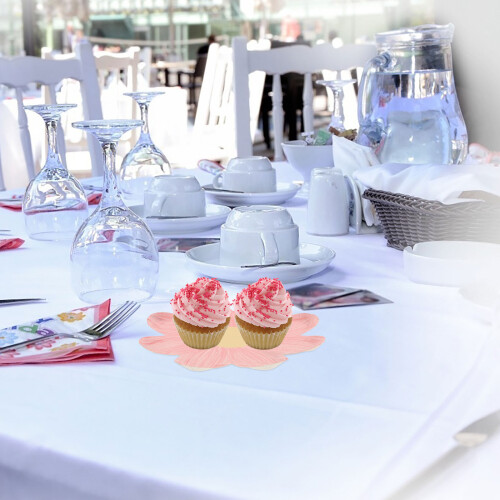 Mexicaanse Plates Roze 10 Stuks 2