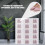 1 Bequeme Schuhe Verdickte Clamshell Schuhe Box 8