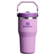 Stanley IceFlow 2.0 Flip-halmglas med h?ndtag 20 oz | Drej p? l?get og flip op str? | L?kagebestandig vandflaske | Isoleret rustfrit st?l | BPA-f