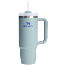 Vaso STANLEY Quencher H2.0 con asa y pajita 30 oz | Tapa de estado de flujo de 3 posiciones | Portavasos Compatible para Viajes | Acero inoxidabl