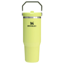 Stanley IceFlow 2.0 Flip Straw Tumbler mit Griff 30 oz | Deckel aufdrehen und Strohhalm hochklappen | Auslaufsichere Wasserflasche | Isolierter E