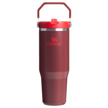 Stanley IceFlow 2.0 Flip Straw Tumbler with Handle 30 oz | Twist On Lid and Flip Up Straw | Leak Resistant Water Bottle | Insulated Stainless Steel |