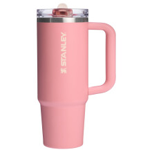Stanley Quencher ProTour Flip Straw Tumbler met Lekvrije Deksel 30 oz | Ingebouwde Rietje en Handvat | Autohouder Compatibel