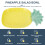 Creative Juego De Con De Piña Para Ensalada 6