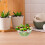 vidrio transparente cocina 1 bol servir 7