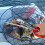 pince multifonction longue pour capture en milieu marin 10