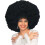 Rubies Rubiner Jumbo Afro Sort paryk til voksne Unisex No Size 1