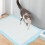 50 pièces couches jetables sèches pour apprentissage accessoires 10