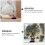 3 pièces billes menthe pour chat, catnip vitamines 8