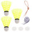 dispositif d'entraînement badminton solo avec volant de 11
