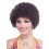 Rubies Forum Novelties Perruque Afro Adulte Marron 1