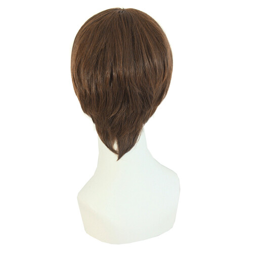 MapofBeauty Peruca Curta Masculina Estilo Reto (Castanho) 2