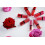 Bourjois Bourjois Rouge Edition Aqua Laque Liquid Lipstick, Babe Idole 3