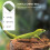 de terrarium en pièces simulant mousse pour reptiles 10