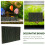 3d imitation pour aquarium terrarium reptile 10
