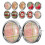 100 mini attaches colorées pour scrapbooking 10