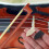 Violin Bow Tips Assorted Color 10pcs 0.8in 5