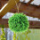 2pcs Faux Topiary Ball Plants Hanging Decor 7