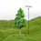 Arbre Miniature Vert Simulation Décoration Jardin Intérieur 9