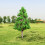 Arbre Miniature Vert Simulation Décoration Jardin Intérieur 8