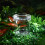 10Pcs Magnifying Insect Box Bug Catcher For Breeding And Observation 9