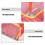 Red Table Tennis Balls Picks Indoor Set 8