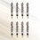 8 pz valvola per tubeless bici e 6
