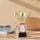 1 Pezzo Sportivo In Per Scolastiche (27 Cm) 4