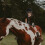 Kinderpaardrijhelm voor peuters, equestrian uitrusting 5