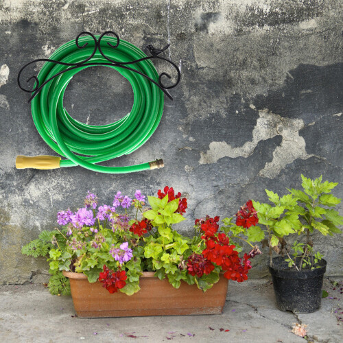Smeedijzeren Frame Antiek 2