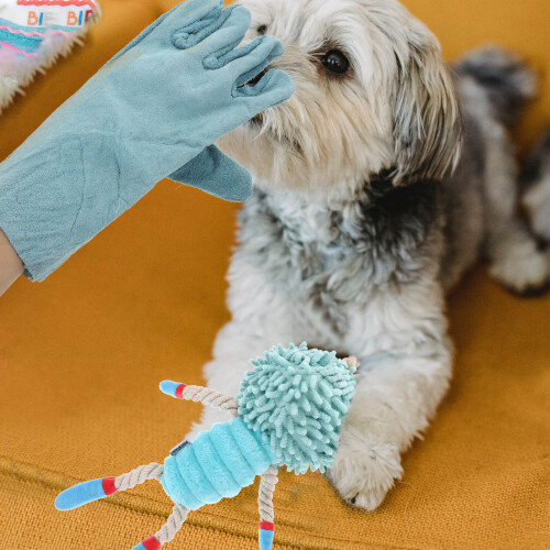 guantes antimordeduras para perros multifunción 2