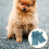 guantes antimordeduras para perros multifunción 7