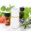 applicatore con in 20 ml 5 pezzi per 7