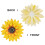 1 Anhänger 3d Sonnenblumen Lotus 9