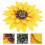 1 Anhänger 3d Sonnenblumen Lotus 10