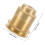 Bulb Socket Kupfer Keramik 1 2,2x1,9 Zoll 2