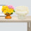 Making Form Schablone Wiederverwendbare Bonsai Topf 5