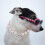 collar con colgante corazón, y s rosa 10